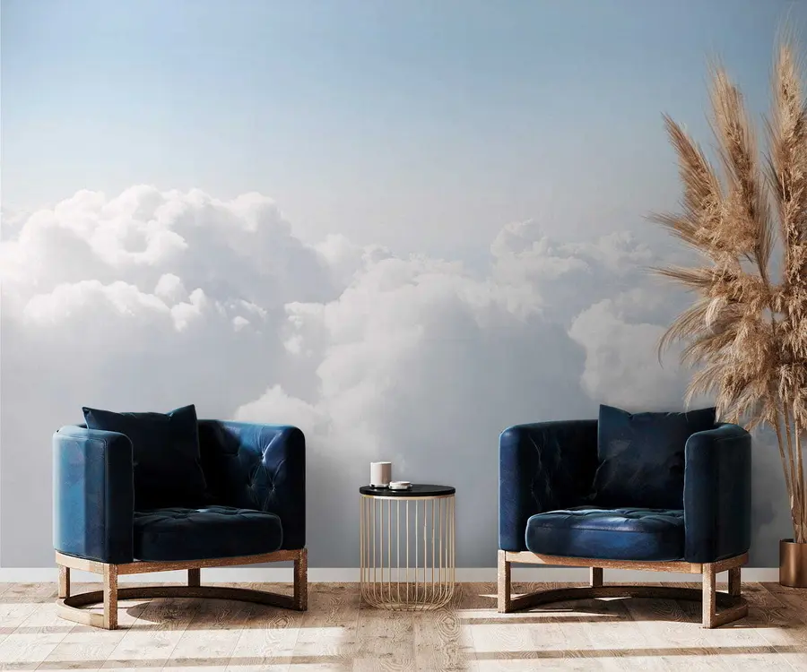 τοιχογραφίες Πτήση στα σύννεφα u35954