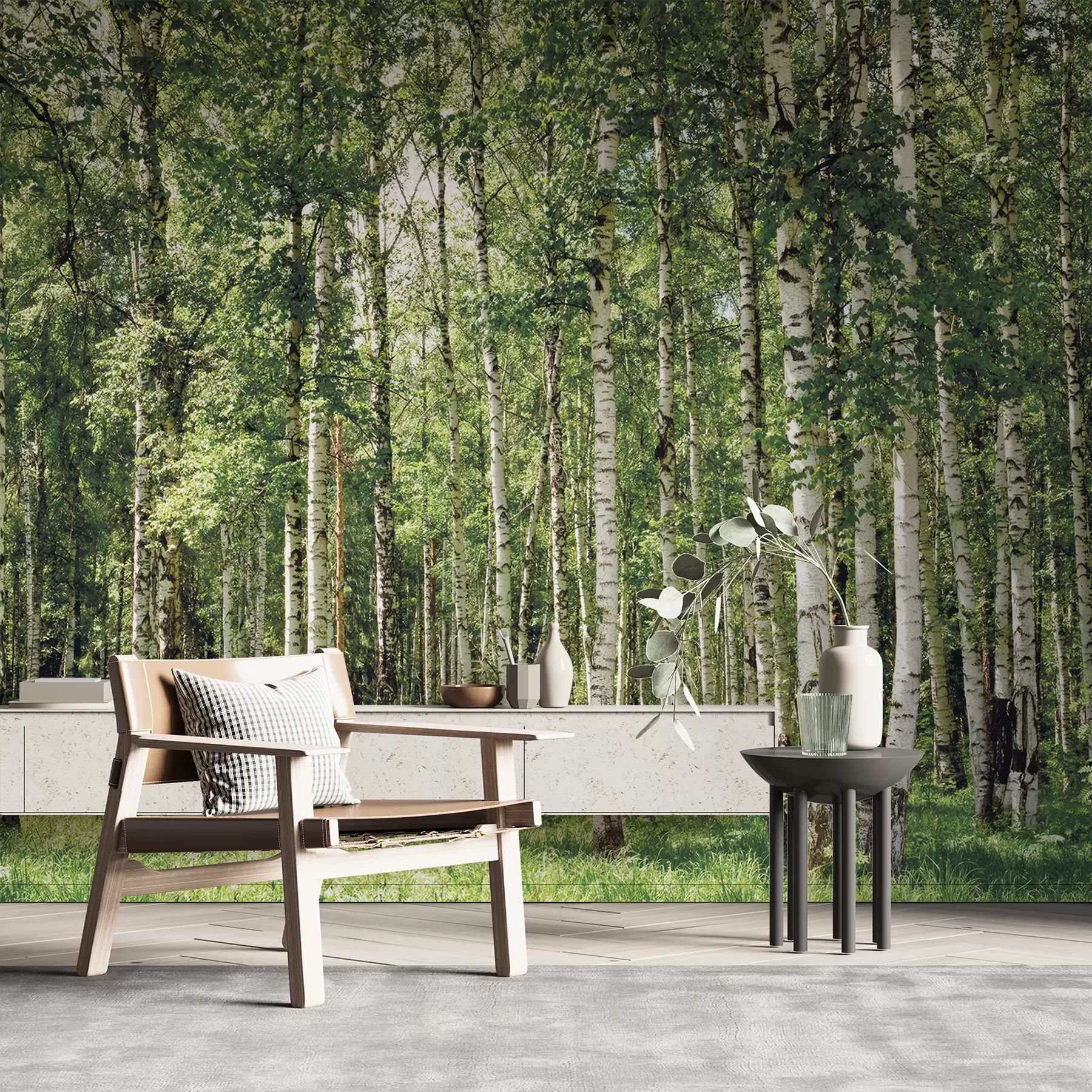 τοιχογραφίες Δάσος σημύδας u52530