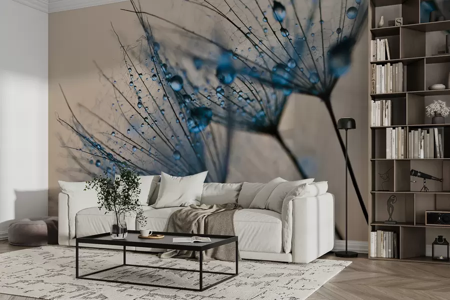 τοιχογραφίες Πικραλίδες με σταγόνες νερού u57557