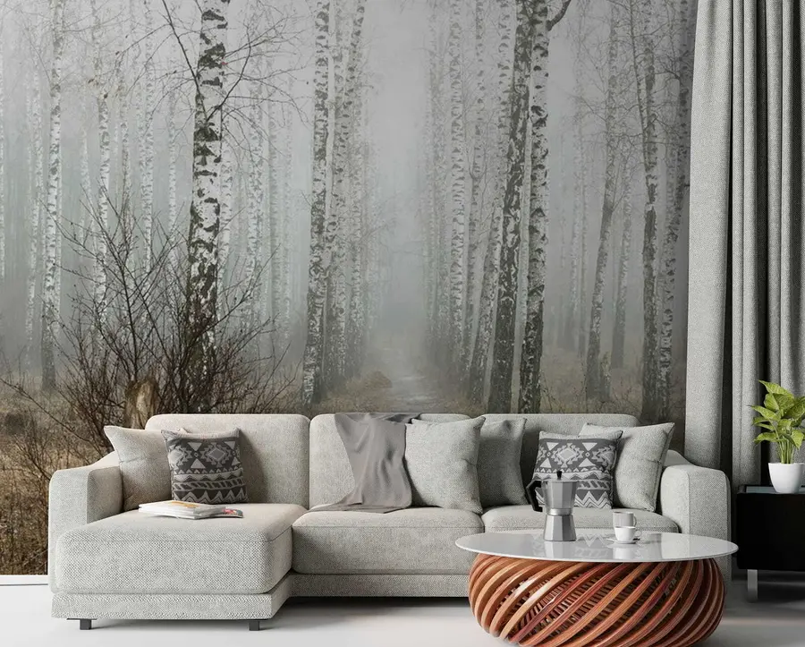 τοιχογραφίες Ελατιές στην ομίχλη u58950