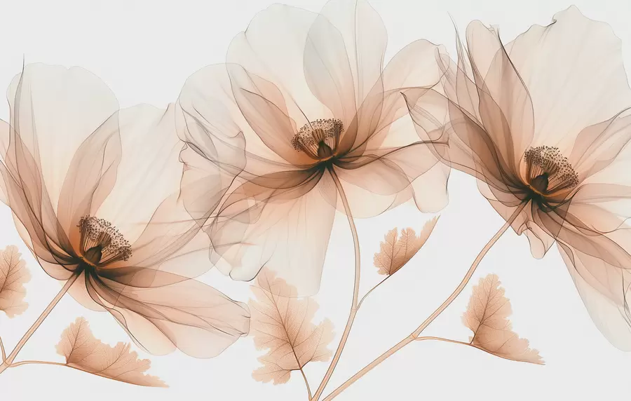 τοιχογραφίες Λεπτό διαφανές λουλούδι σε στυλ ακτίνων Χ σε λευκό φόντο Μινιμαλιστικό μονόχρωμο βοτανικό σχέδιο w01482