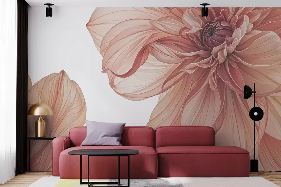 τοιχογραφίες Κοντινή άποψη πολλών μεγάλων, ζωηρών κόκκινων λουλουδιών ντάλιας με απαλά, λεπτά πέταλα σε λευκό φόντο w08257