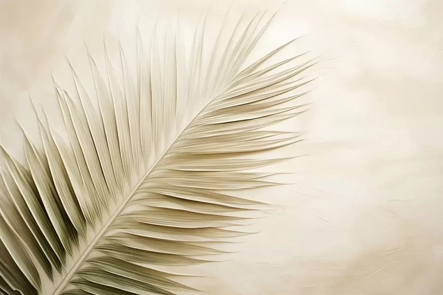 τοιχογραφίες Μπεζ φύλλο φοίνικα σε φόντο με απαλή υφή w04618