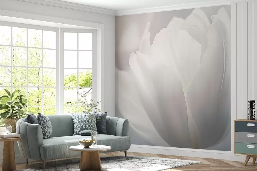 τοιχογραφίες Τουλίπα w04659