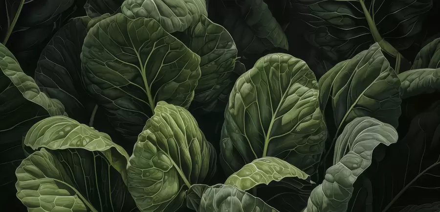 τοιχογραφίες Παιχνιδιάρικα πράσινα φύλλα w05043