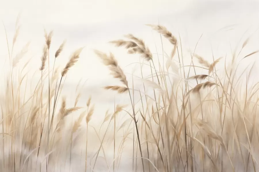 τοιχογραφίες Ψηλό, υφασμάτινο ξερό χορτάρι με στάχυα σιταριού στο χωράφι, σε απαλό, ανοιχτόχρωμο φόντο. w09648