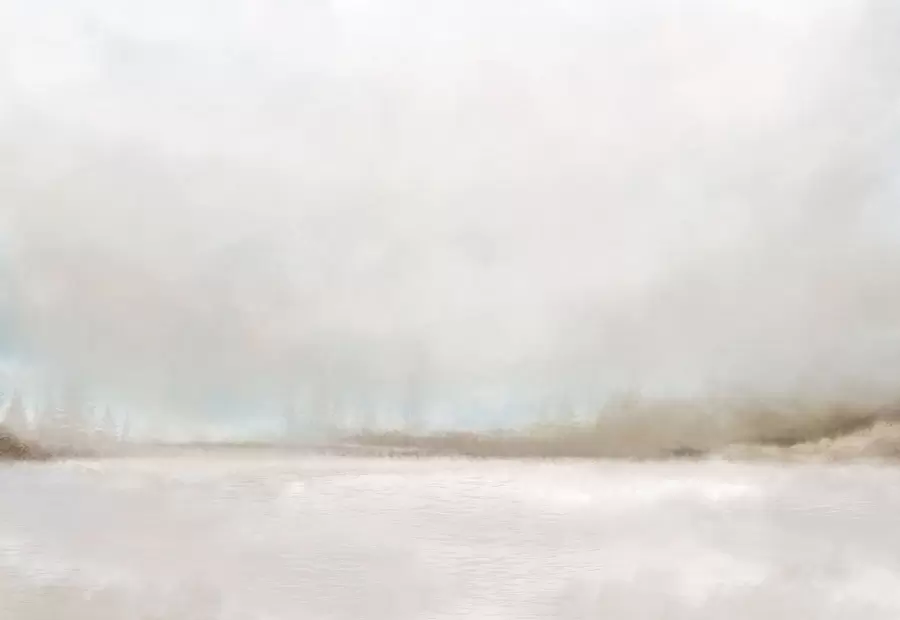 τοιχογραφίες Ομιχλώδες τοπίο με λίμνη και δάσος w05319