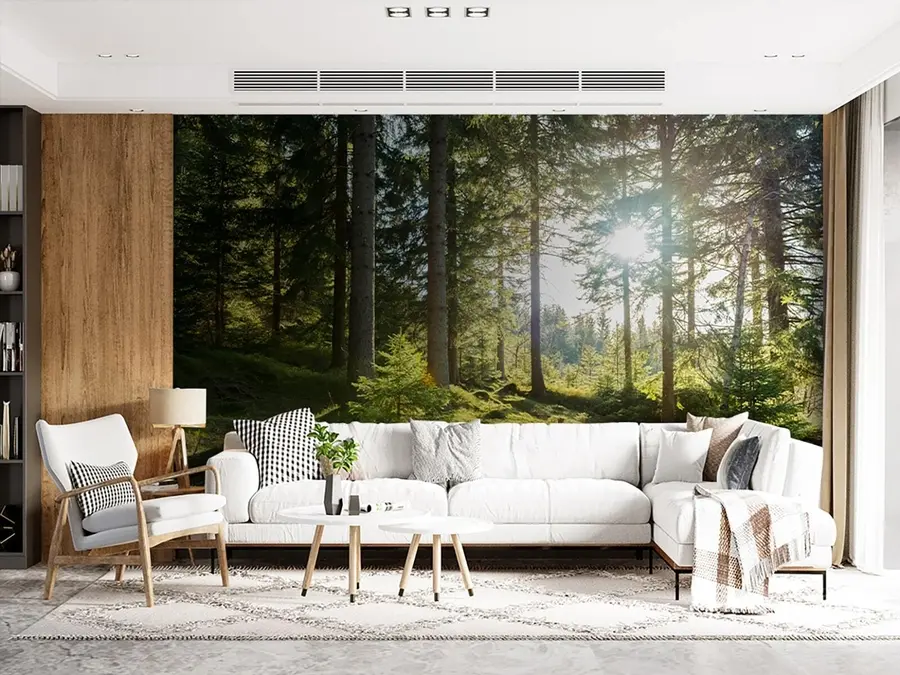 τοιχογραφίες Όρη Carkonoshe στην Πολωνία u80015