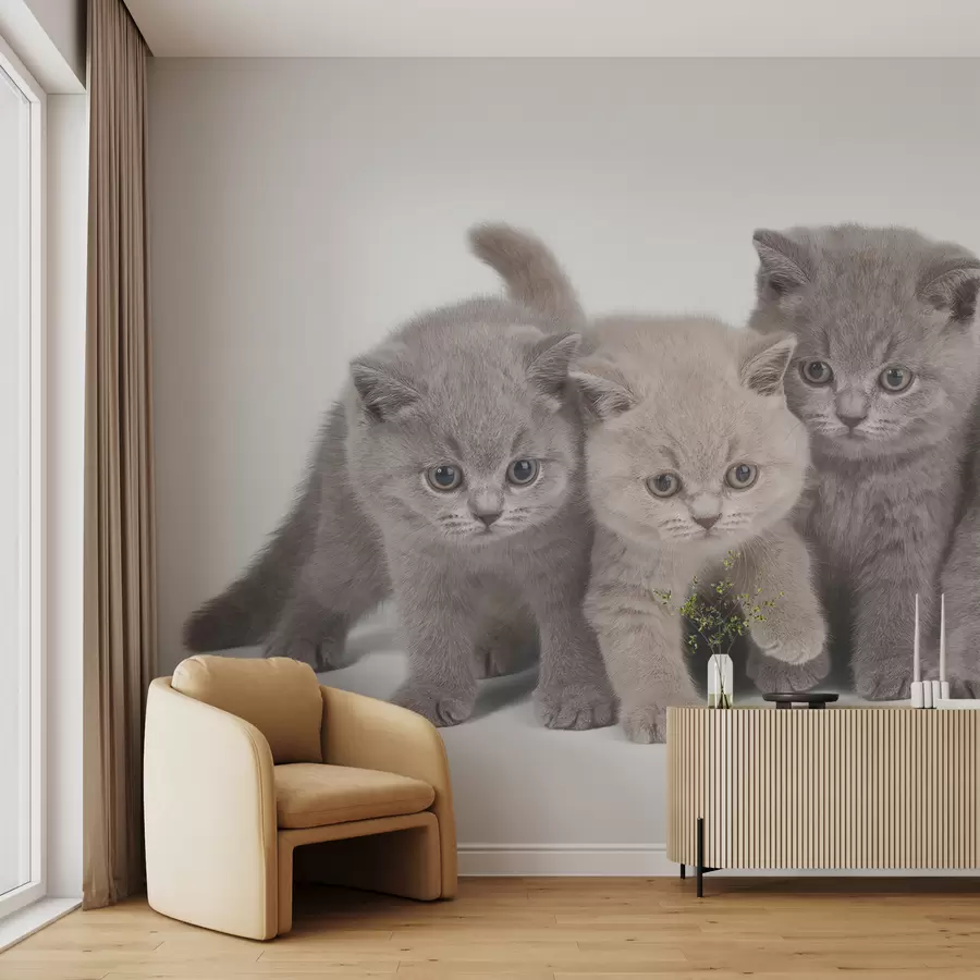 τοιχογραφίες Μάτι, γάτα και σαρκοφάγος u55076