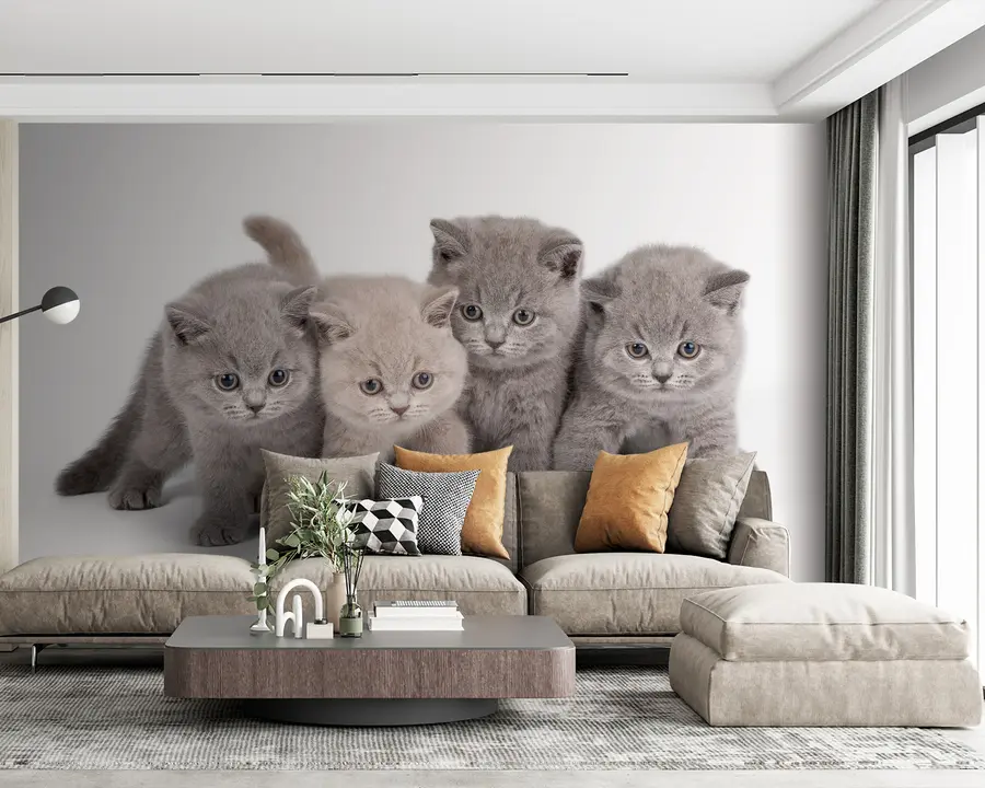 τοιχογραφίες Μάτι, γάτα και σαρκοφάγος u55076