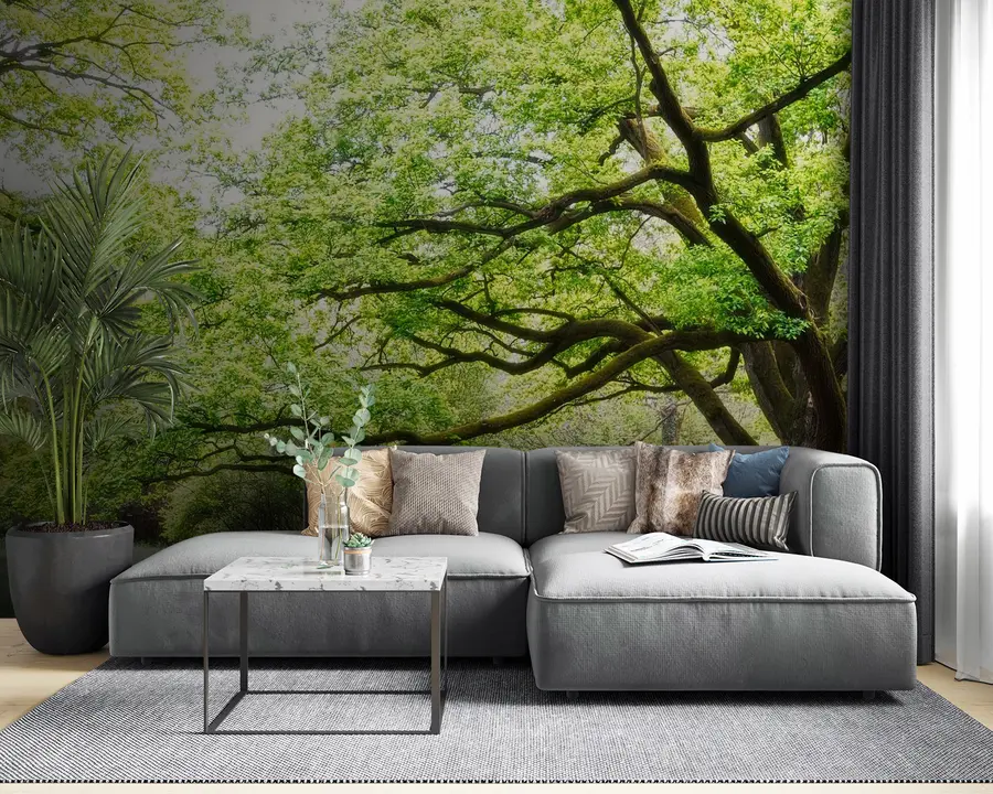 τοιχογραφίες Φυτό, πράσινο και φυσικό τοπίο u55659