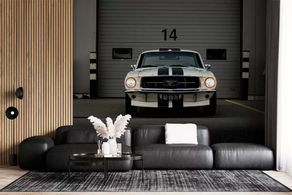 τοιχογραφίες Ford Mustang του 1970 u95536