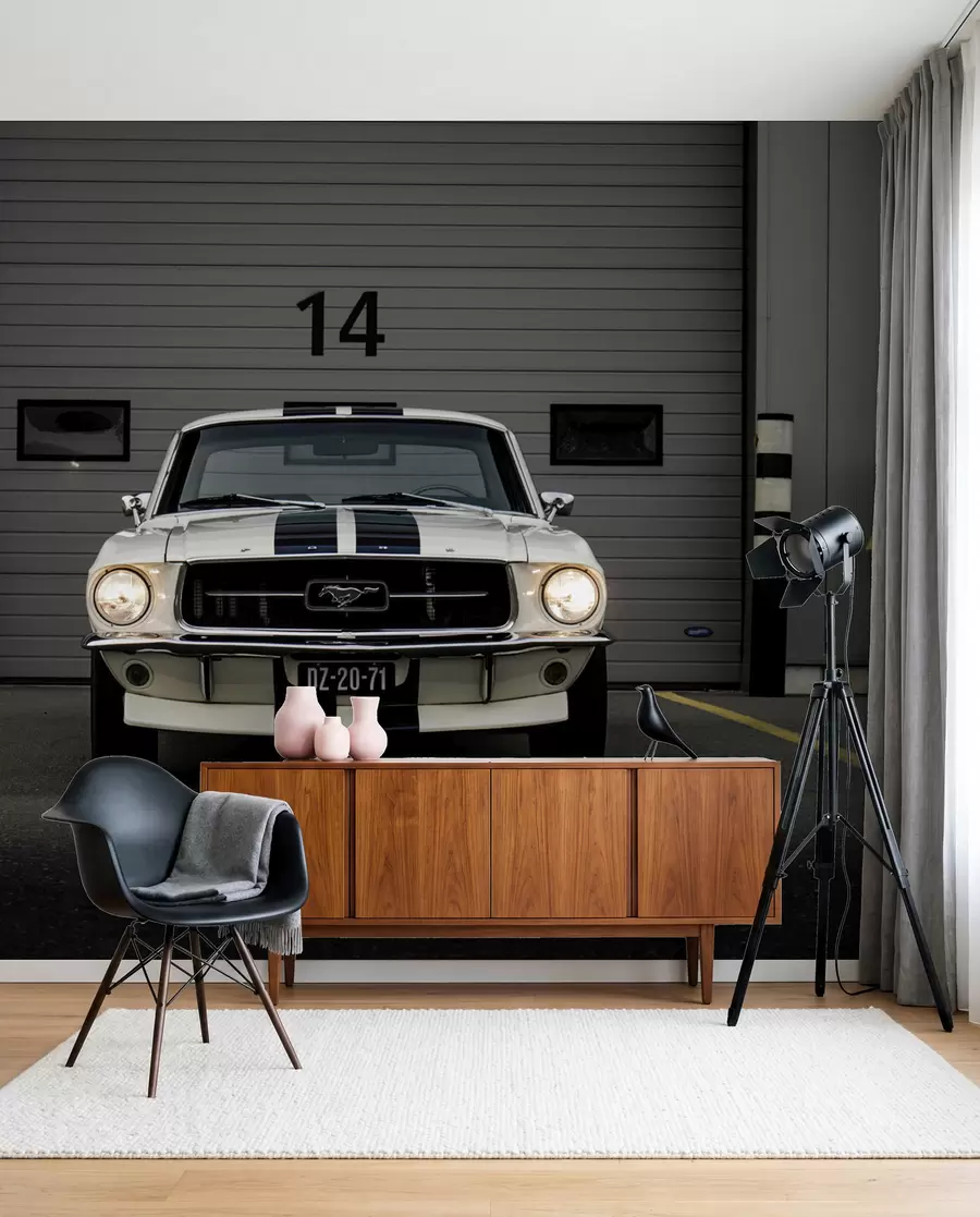 τοιχογραφίες Ford Mustang του 1970 u95536