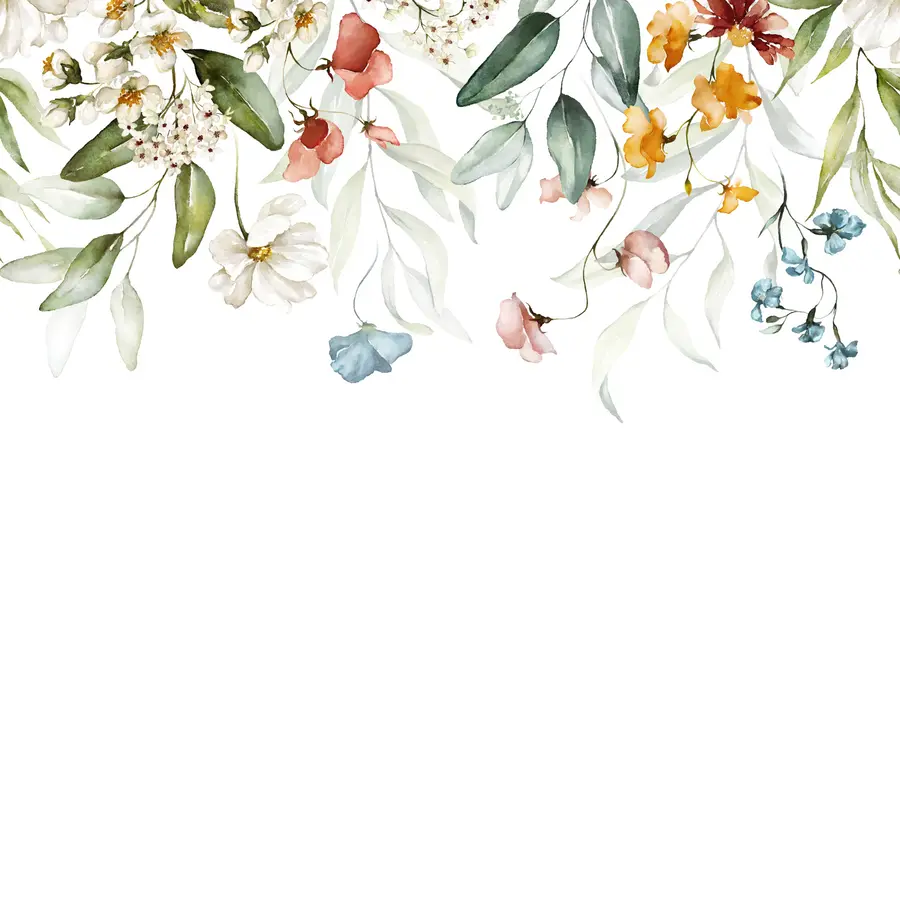 τοιχογραφίες Λουλούδια και φύλλα σε λευκό φόντο u99495